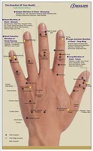 Reflexology Chart Reflexology Hand Chart Reflexology 