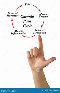 Chronic Cycle Stock Image Image Of 1791 Movement 239565727