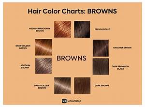 Warm Brown Hair Color Chart Been So Much Ejournal Art Gallery