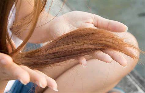 What Are Split Ends? 25 Ways To Repair And Prevent Them
