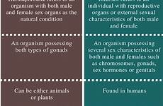 hermaphrodite intersex difference between examples definition