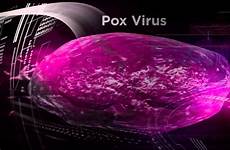 poxvirus roper