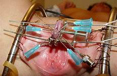 master4pigslave clit clitorectomy pussymodsgalore needles galore tumbex