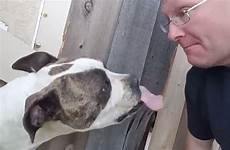 man dog lick nose his he nuts making when happy pretends goes extremely pretended seen pals