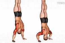 handstand push fitnessvolt