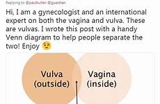 vulva vagina man difference explain between definition diagram gynecologist correct paul after conversation incredible sending dictionary joined even use