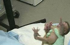labor animals off get day gif abuse child don who primates labs