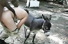donkey sex women femefun anal videos man gratification bonks grabs ago years