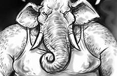 elephant male penis erection belly musclegut edit respond deletion flag options