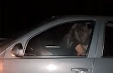 car sex man woman having motorway 70mph filmed going jujuy travelling said