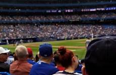 hot dogs ballpark day game jays delivered opening blue authentic get hive dog daily