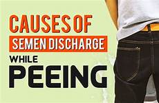 semen discharge peeing