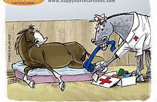 horse equine aid tying emergencies lameness