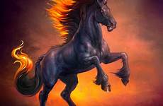 unicorns einhorn mythological pferde virtuellife