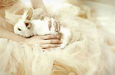 portrait fairytale bunnies baby cecilia session axioo shoot