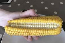 corn cob row eats girlfriend time way single comments oddlysatisfying