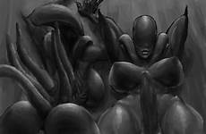 xenomorph alien big breasts futanari rule34 ass franchise female rule pussy respond edit xxx