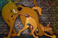 scooby doo gay xxx gif rule furry rule34 penis sex respond edit male only