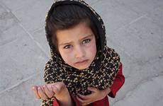 begging afghan gmos reasons