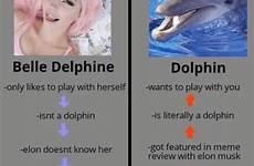 dolphin disrespect