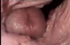 inside penis vagina gif make tumblr wife thrusting evolved suction human