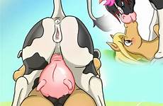 sex horse pussy xxx female feral ass udders bovine anus equine tongue rule34 mammal kissing deletion flag options edit respond