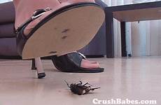 crush bug gif under crushes sandals cricket foot her