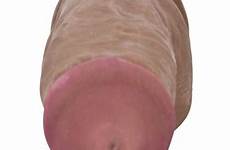 real cyberskin cock pecker brown perfect man bought toys customers also who