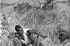 19th abolition engraving kean sinha slaves manisha horseback