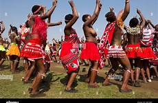 zulu dance reed south africa nongoma enyokeni stock alamy palace