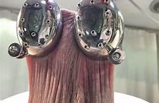 scrotum stretched spiked compressed weights appointment clips4sale