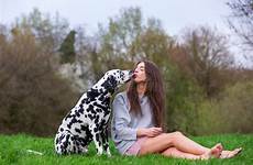 chien baiser dalmatien obtient kus krijgt hond dalmatische jonge