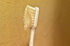 toothbrush old replace brush designing sooner should found hard too case their people