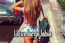 labia large
