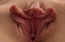 labios vaginales nude filet mignon megapost