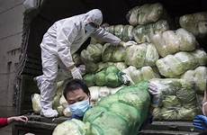china coronavirus death deaths wuhan total health