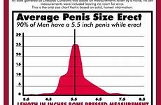 penis size does average chart envy measure matter long really teen twenties teens