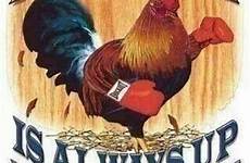 funny cock memes good quotes gamefowl rooster meme hell badass gag fm fighting