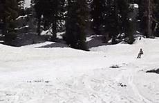 skiing gif tumblr fail fall wifflegif gifs