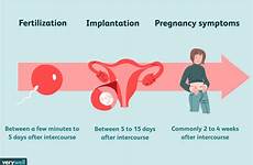 implantation pregnant pregnancy occur verywell verywellfamily lying