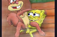 sandy spongebob cheeks vagina bob squarepants havock nude hentai sex squirrel anal sponge xxx pants square options luscious deletion flag