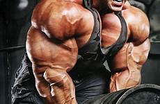 freak bodybuilding morphs gym roided