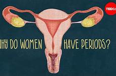 periods women why their do reason