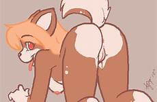 furry gif hentai gifs yiff xxx pussy ass nude female animated shaking butt cute booty dog anthro tumblr canine rule34