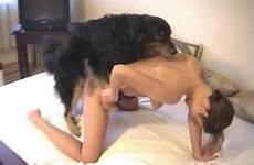 sexy female bangs dog sucking doggy girls beastiality dicks compilation young zootube1 slender angry tube zoo videos