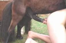 zoofilia fucks caballos con pony videos whore wild zoox18