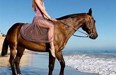 horse riding horses girl bareback woman beach beautiful cowgirl instagram girls riders photography animal raj choose board saved real people