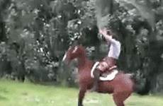 horses jump