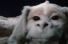 falcor story neverending gif movie dog dragon flying falco tumblr laundry quotes gifs giphy film real animated imgur dragons ending