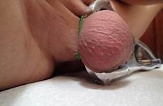 sissy elastrator castration tiny balls tumbex useless clits